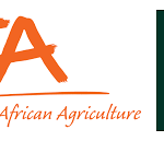 International Institute of Tropical Agriculture (IITA)